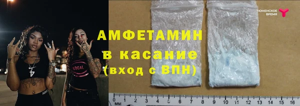 прущие грибы Алзамай