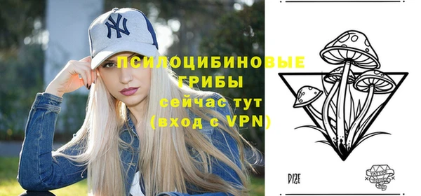 гидра Армянск