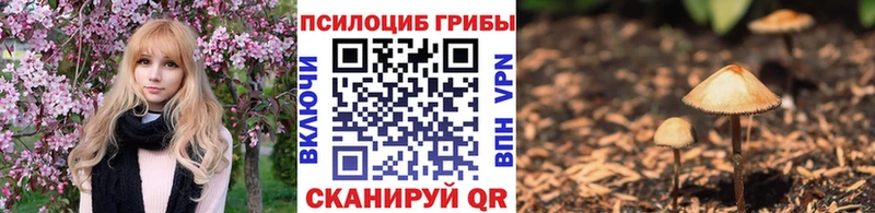 Купить закладки  Полярный  Галлюциногенные грибы Psilocybe 